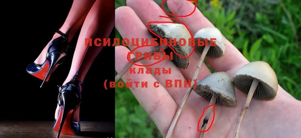 2c-b Вяземский