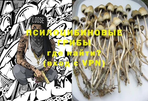 2c-b Вяземский