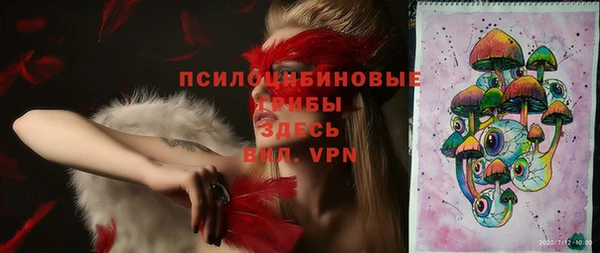 амф Вязники